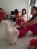 Workshops